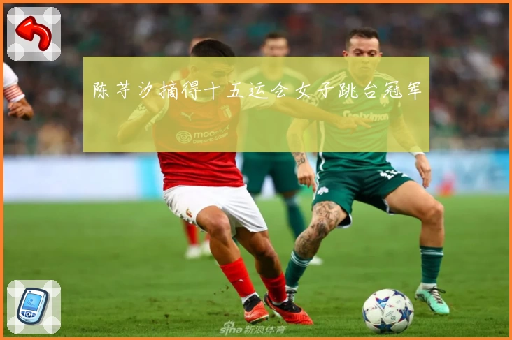 陈芋汐摘得十五运会女子跳台冠军