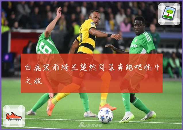 白鹿宋雨琦王楚然同录奔跑吧牦牛之旅