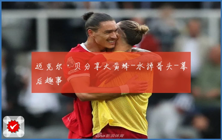 迈克尔·贝分享大黄蜂-水掉哥头-幕后趣事