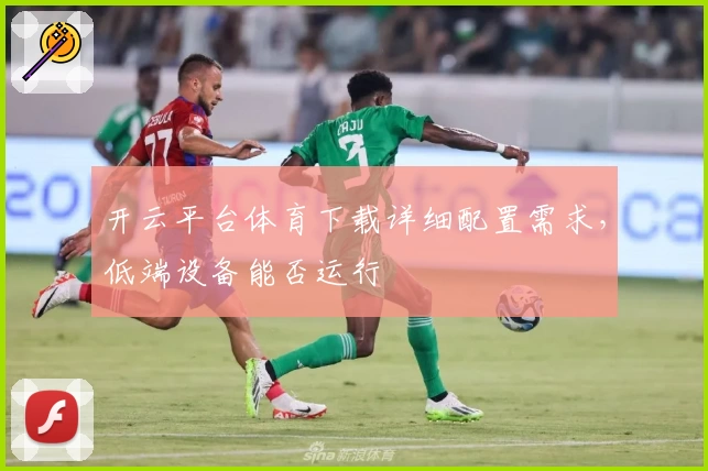 开云平台体育下载详细配置需求，低端设备能否运行