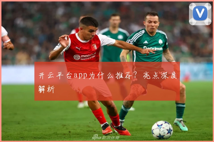 开云平台app为什么推荐？亮点深度解析